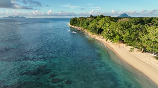 푸른 숲과 광활한 바다가 있는 고요한 해변