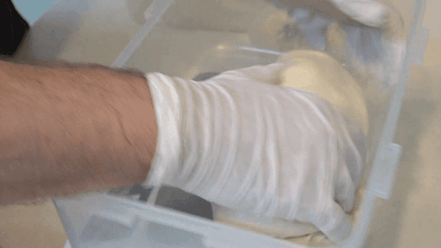 Kneading dough in a plastic container by baker hands
