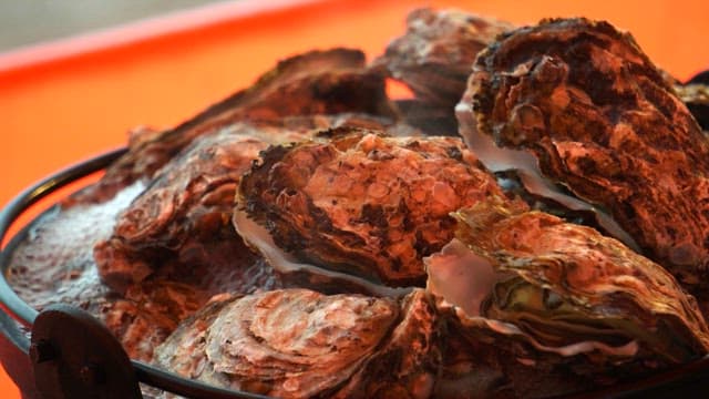 Fresh oysters being boiled in a pot