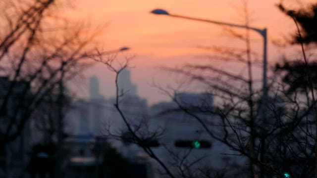 City skyline at sunset with bare trees