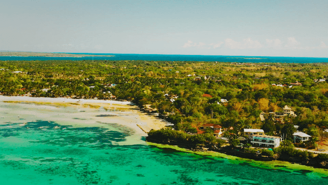 Coastal village with lush greenery