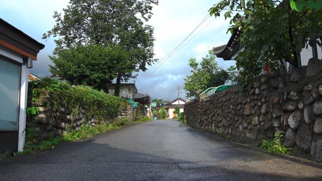 햇빛이 비치는 울창한 녹지 속 전통 가옥