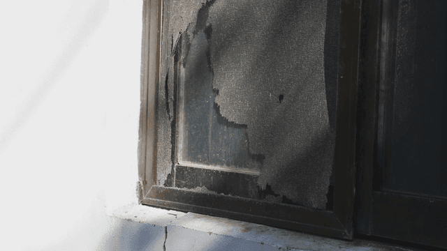 찢어진 방충망이 있는 낡은 창문