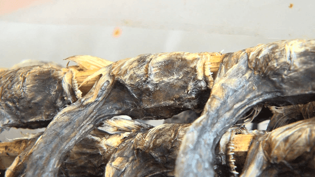 쌓여 있는 말린 대갱이들