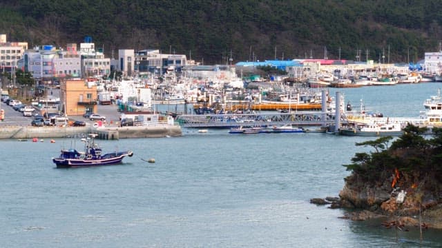 Small port town with boats docked near the shore