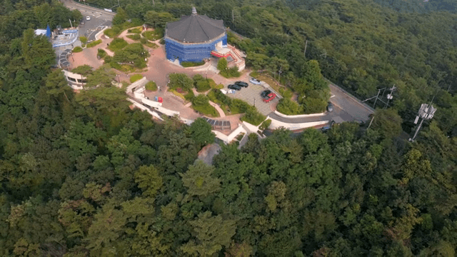 Octagonal pavilion surrounded by lush forest