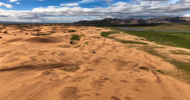 Vast desert landscape with camels