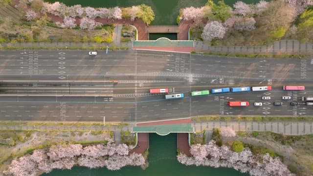 도로변에 핀 벚꽃으로 화사히 물든 도시의 차도