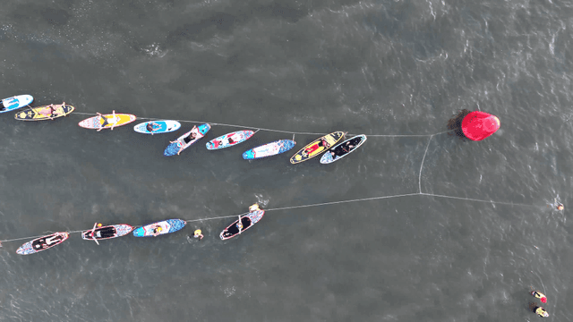People lined up to paddleboard in ocean