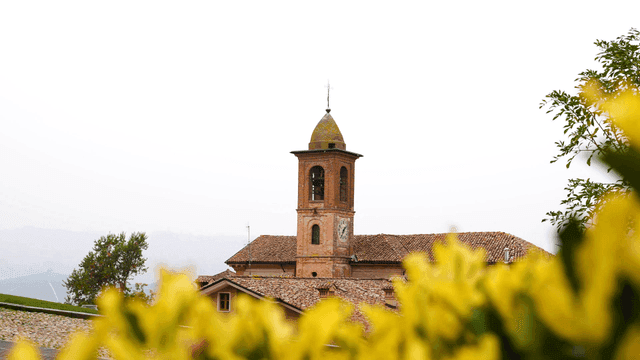 Historic clock tower visible beyond yellow flowers