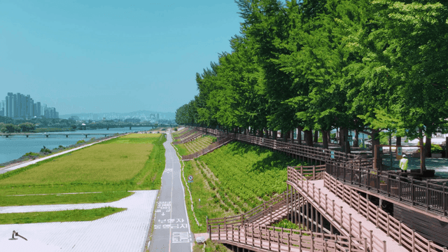 Riverside park and city view