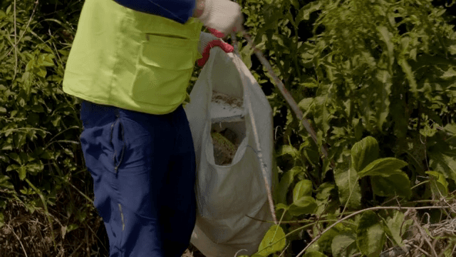 A person cleaning up trash in the bushes
