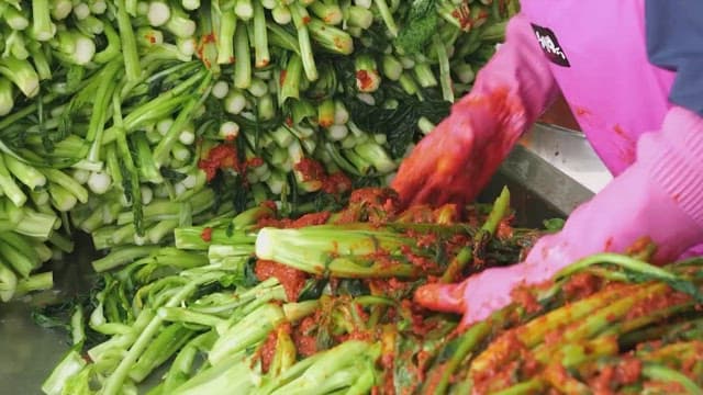 Preparing kimchi with fresh leaf mustard stems