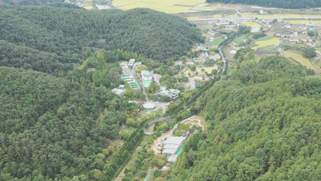 숲으로 둘러싸인 시골 마을의 항공 뷰