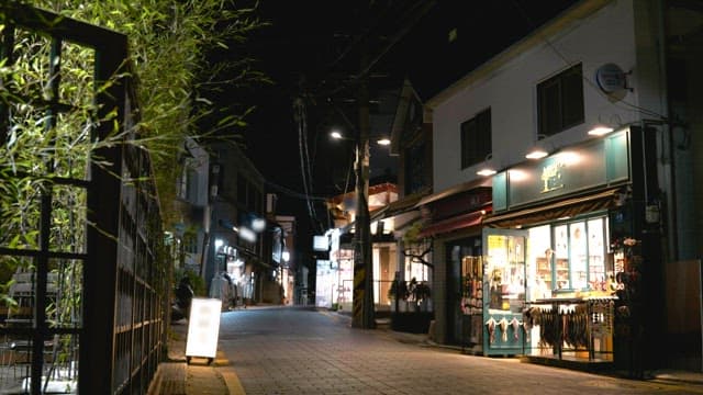 Alley with several stores lit up at night