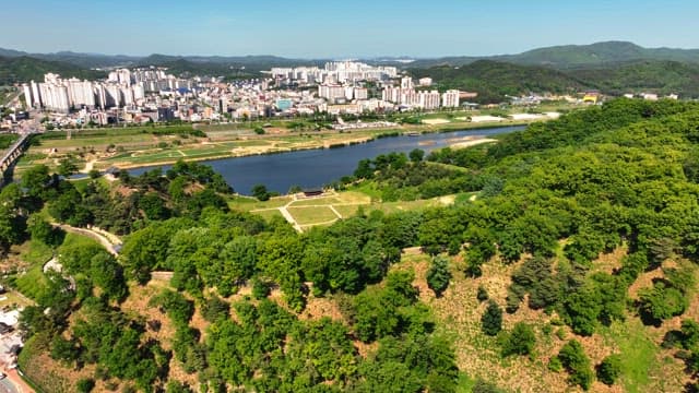 Lush green forest with a city in the background