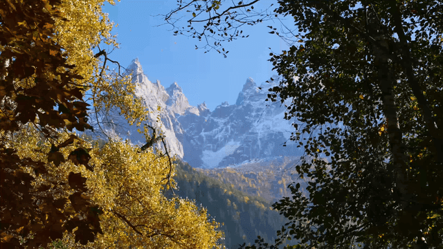 Snow-covered mountain peaks surrounded by autumn trees