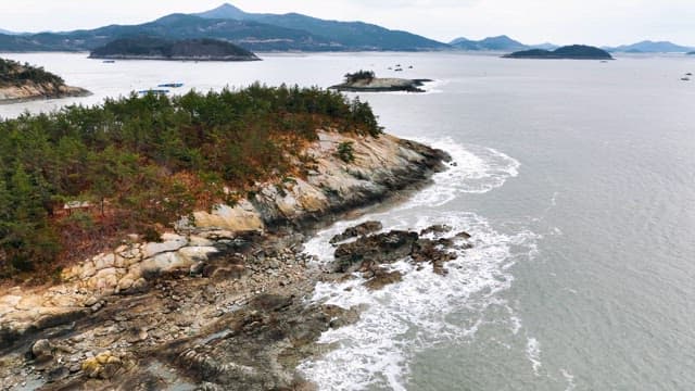 푸른 숲이 있는 바위 해안선