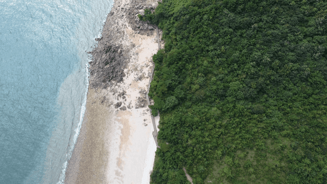 Aerial view of a rocky coastline and beach