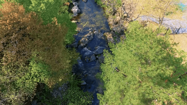 Serene river flowing through lush greenery