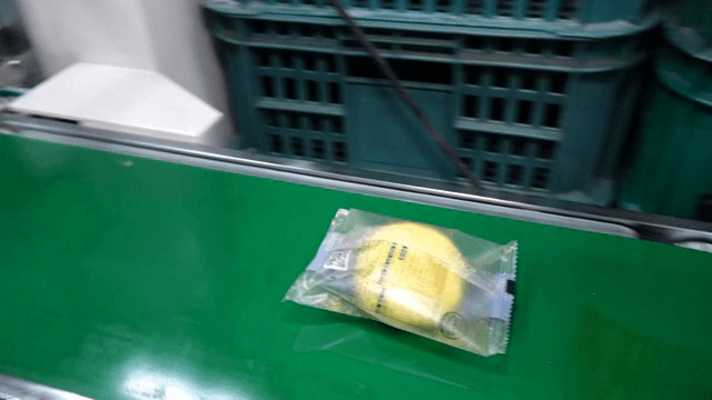 공장에서의 포장 과정