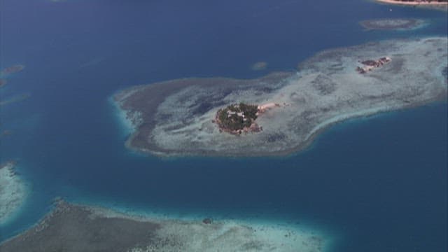 바다로 둘러싸인 열대섬