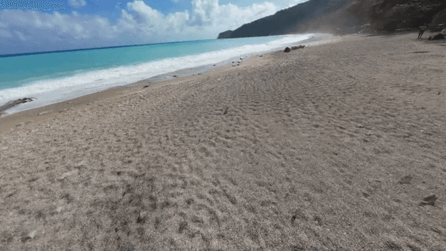 파도가 있는 고요한 해변과 집