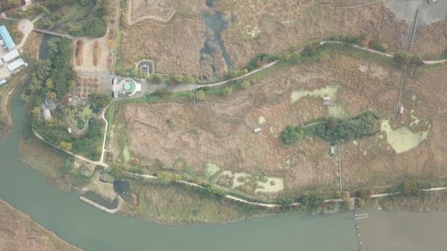 식생이 울창한 생태계의 보고, 습지의 전망