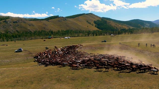 Herdsmen Leading a Large Herd across a Meadow