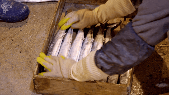 Merchant arranging fish in wooden box