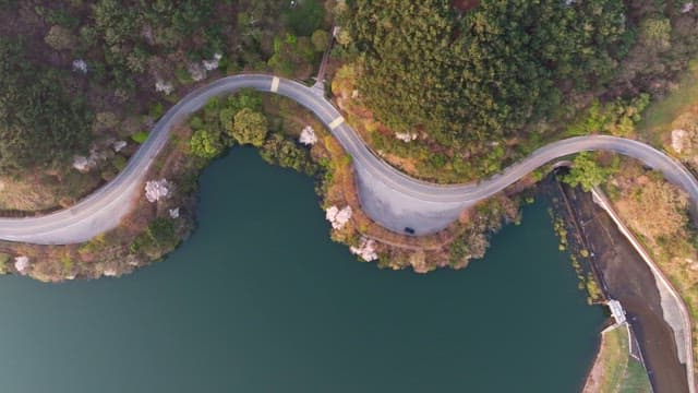 Winding road through a forest by a lake