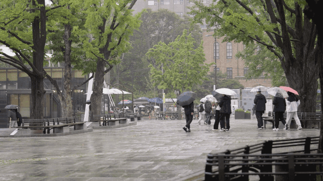 비 오는 날 우산을 쓰고 걷는 사람들