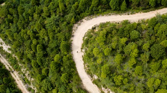 한적하고 무성한 초록 언덕과 굽이진 길