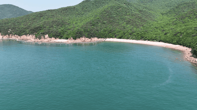 Quiet beach with green hills
