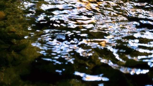 light reflecting on a flowing river