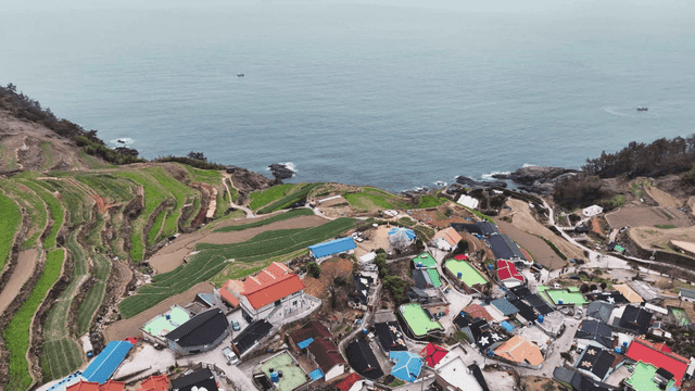 계단식 논과 바다 옆의 다채로운 마을