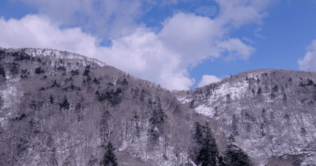 맑은 하늘 아래 눈 덮인 산