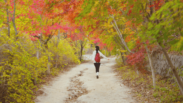 Young woman enjoying autumn maple forest trail
