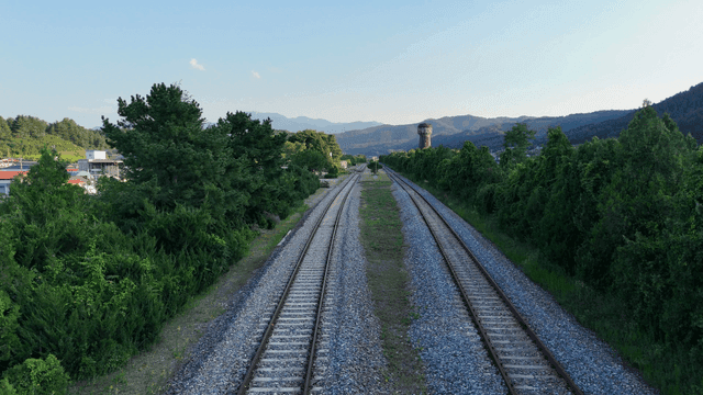 Railroad tracks surrounded by lush greenery