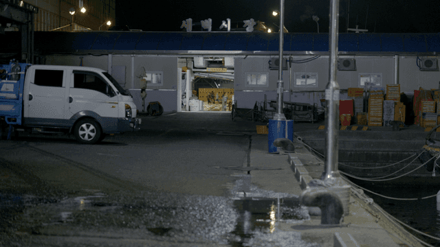 Night view of a bustling fish market