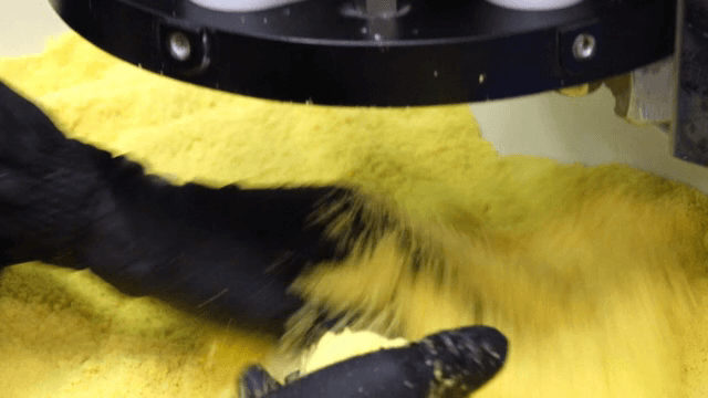 Machine processing dough in a factory