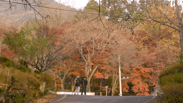 People taking pictures with tripods on autumn forest path