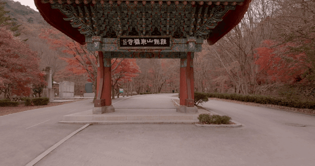 Traditional Korean gate in autumn forest