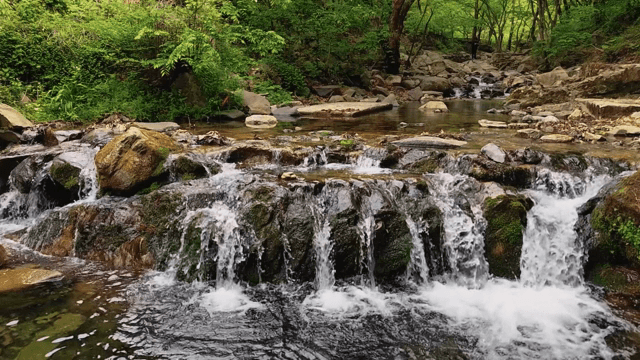 푸른 숲 속의 작은 폭포