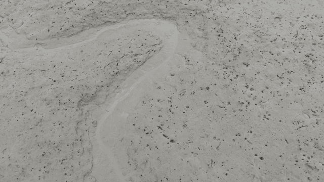 Light gray mudflats