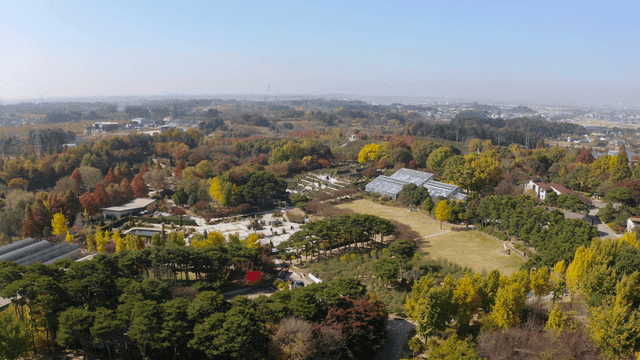 가을 단풍이 든 공원의 항공 뷰