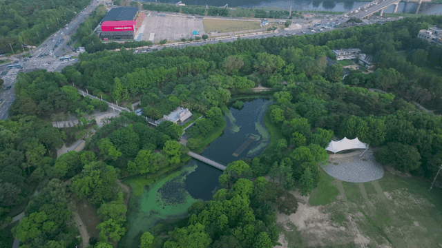 연못이 있는 푸른 공원의 항공 뷰