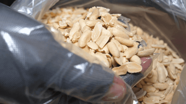 땅콩 한 줌을 집는 손