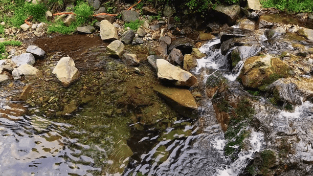 Flowing water over rocks in a stream