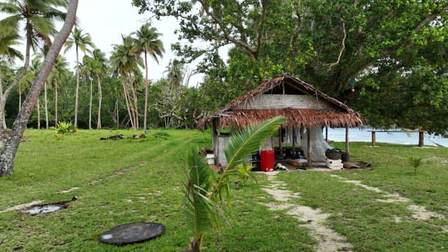 Small hut by the beach surrounded by palm trees